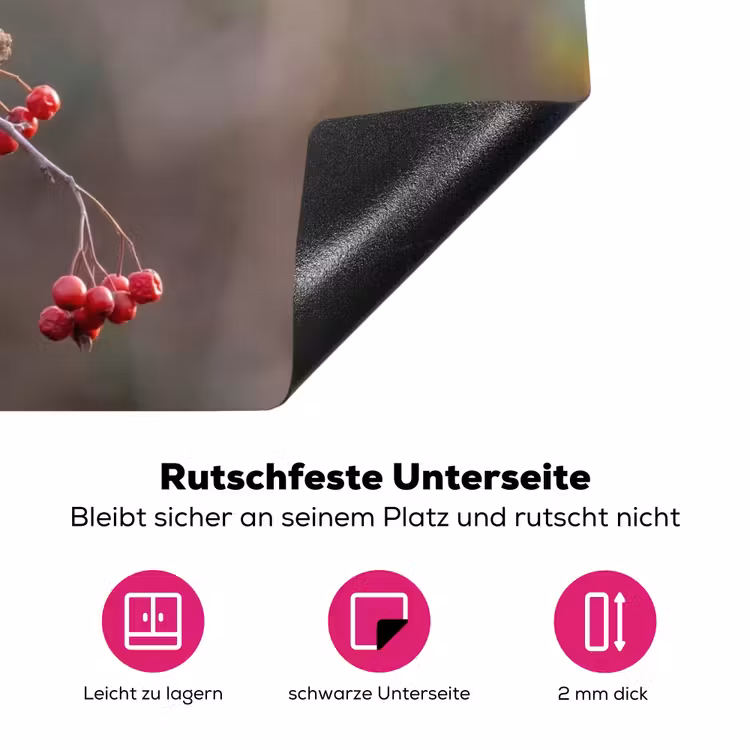 Roodborst - Tak - Bessen - Natuur Inductie beschermer vinyl 3mm klein -zzzzzzz-lf-onderkant