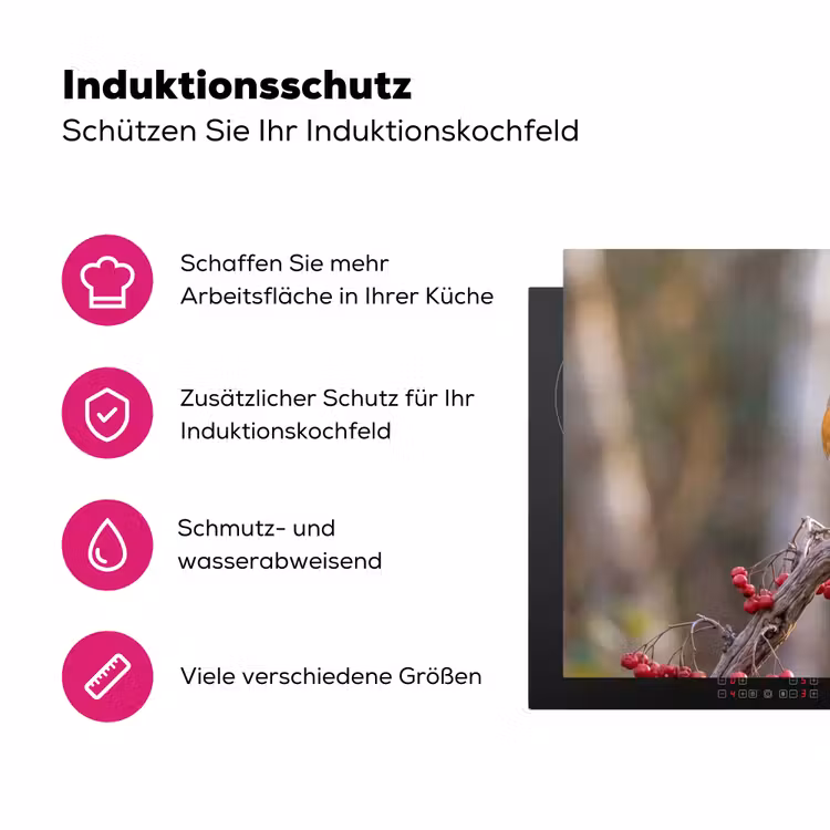 Roodborst - Tak - Bessen - Natuur Inductie beschermer vinyl 3mm klein -zzzzzzz-lf-ups
