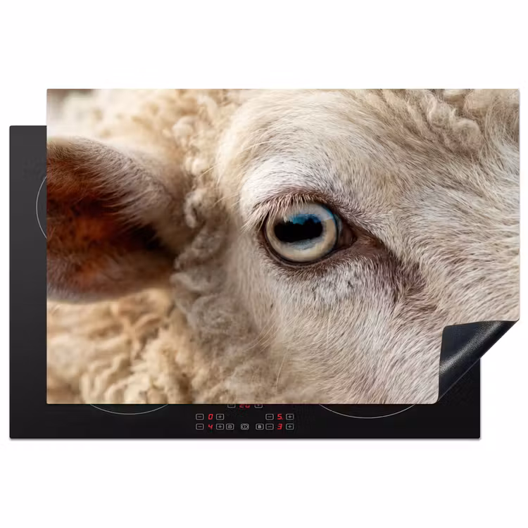 Schaap - Oog - Wit Inductie beschermer vinyl 3mm klein -3d
