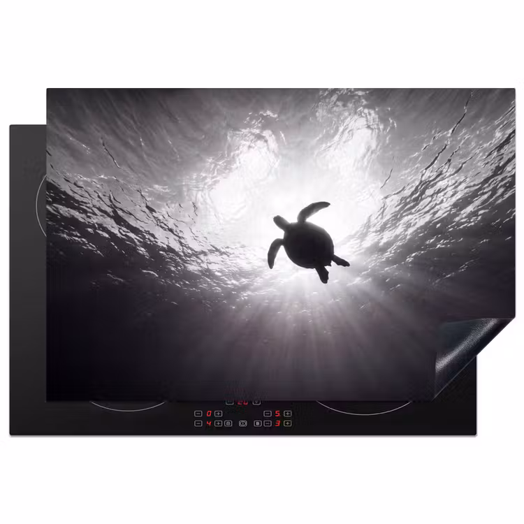 Schildpad - Onderwater - Lichtstralen - Oceaan - Zwart-wit Inductie beschermer vinyl 3mm klein -3d