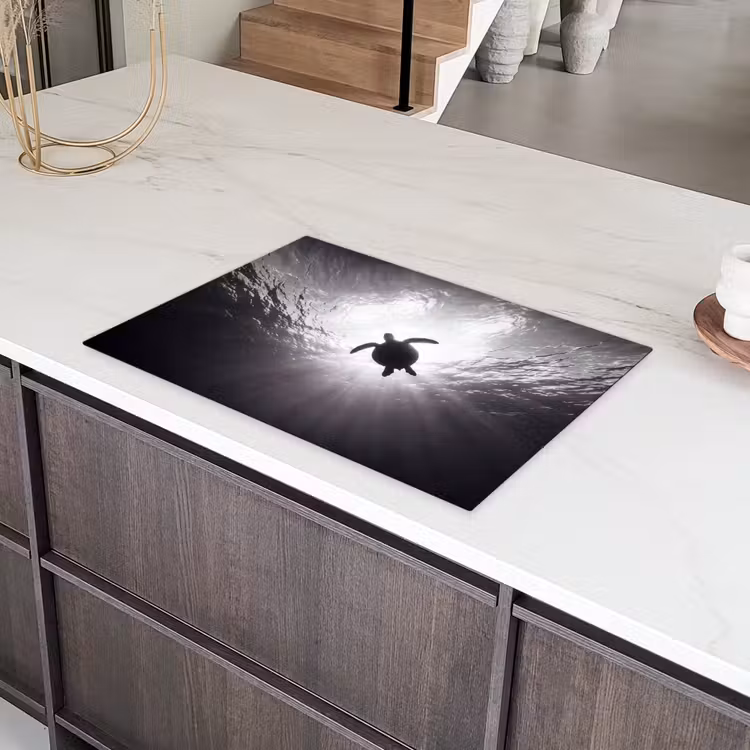Schildpad - Onderwater - Lichtstralen - Oceaan - Zwart-wit Inductie beschermer vinyl 3mm klein -sfeer8