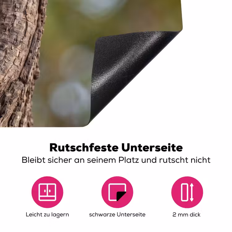 Kerkuil - Boom - Natuur - Bruin Inductie beschermer vinyl 3mm klein -zzzzzzz-lf-onderkant