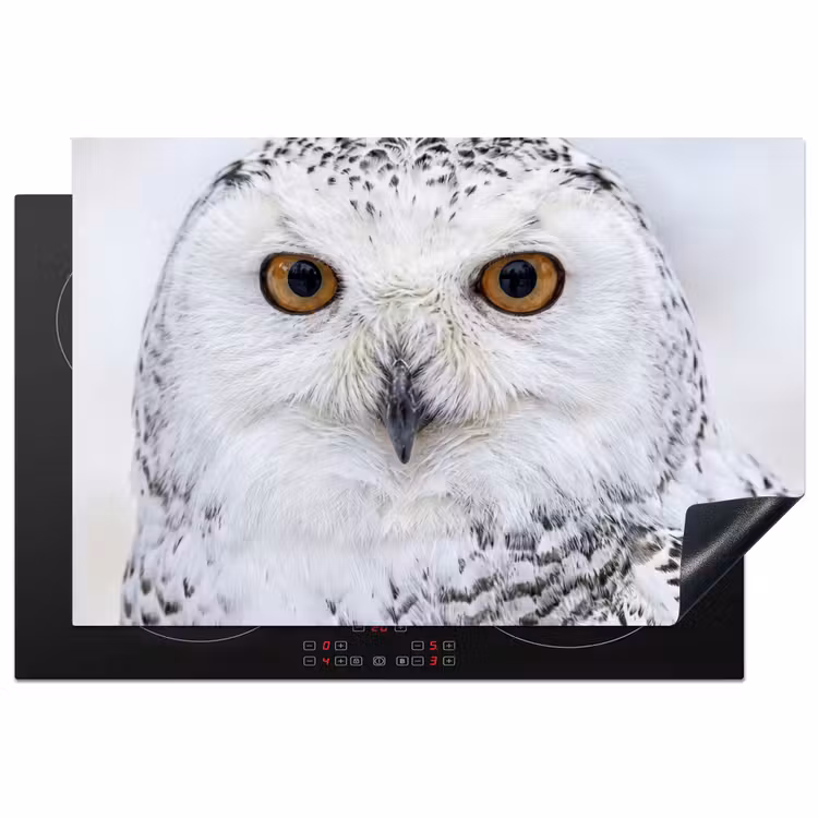 Sneeuwuil - Oog - Wildlife - Wit Inductie beschermer vinyl 3mm klein -3d