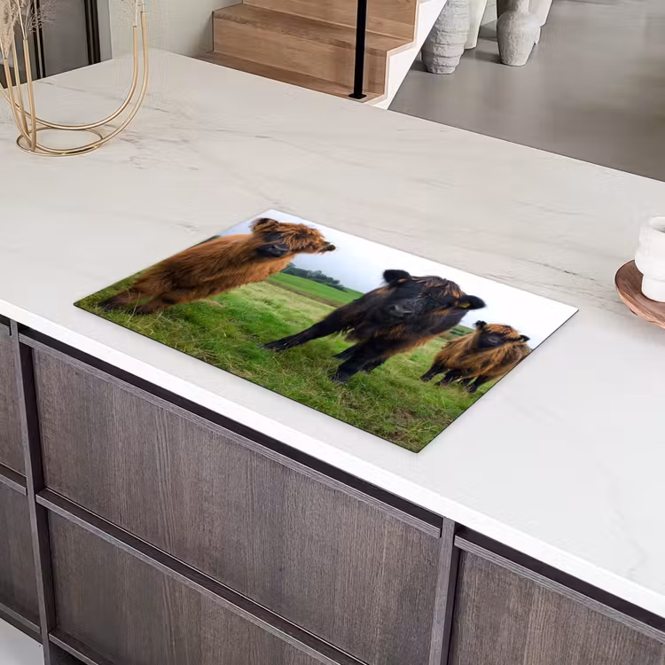 Schotse hooglander - Koeien - Natuur - Groen - Gras Inductie beschermer vinyl 3mm klein -sfeer8