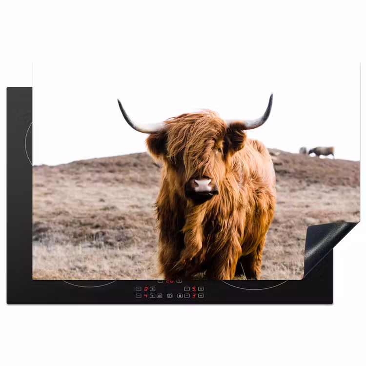 Schotse hooglander - Landschap - Koe - Bruin - Dieren - Natuur Inductie beschermer vinyl 3mm klein -3d