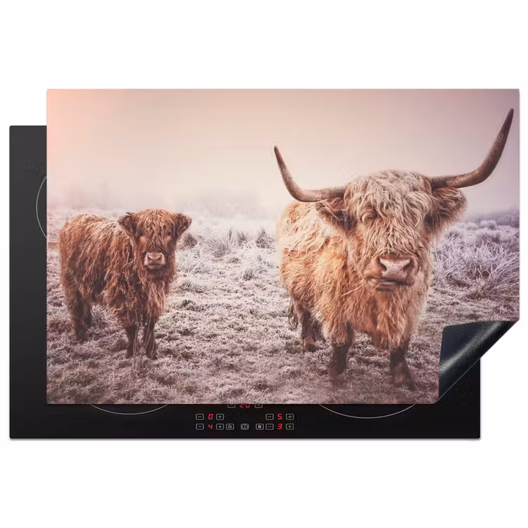 Schotse hooglanders - Licht - Lucht - Natuur Inductie beschermer vinyl 3mm klein -3d