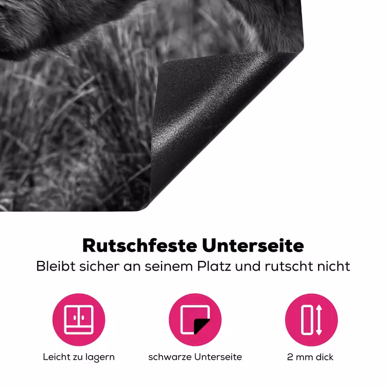 Schotse hooglander - Kalf - Zwart - Wit Inductie beschermer vinyl 3mm klein -zzzzzzz-lf-onderkant