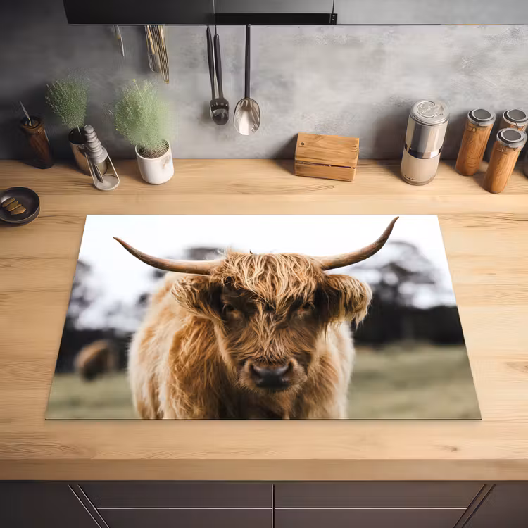 Schotse Hooglander - Koe - Gras - Dieren - Natuur Inductie beschermer vinyl 3mm klein -sfeer5