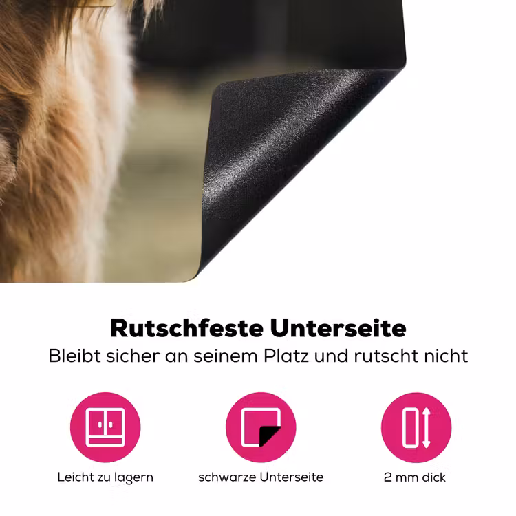 Schotse Hooglander - Koe - Gras - Dieren - Natuur Inductie beschermer vinyl 3mm klein -zzzzzzz-lf-onderkant