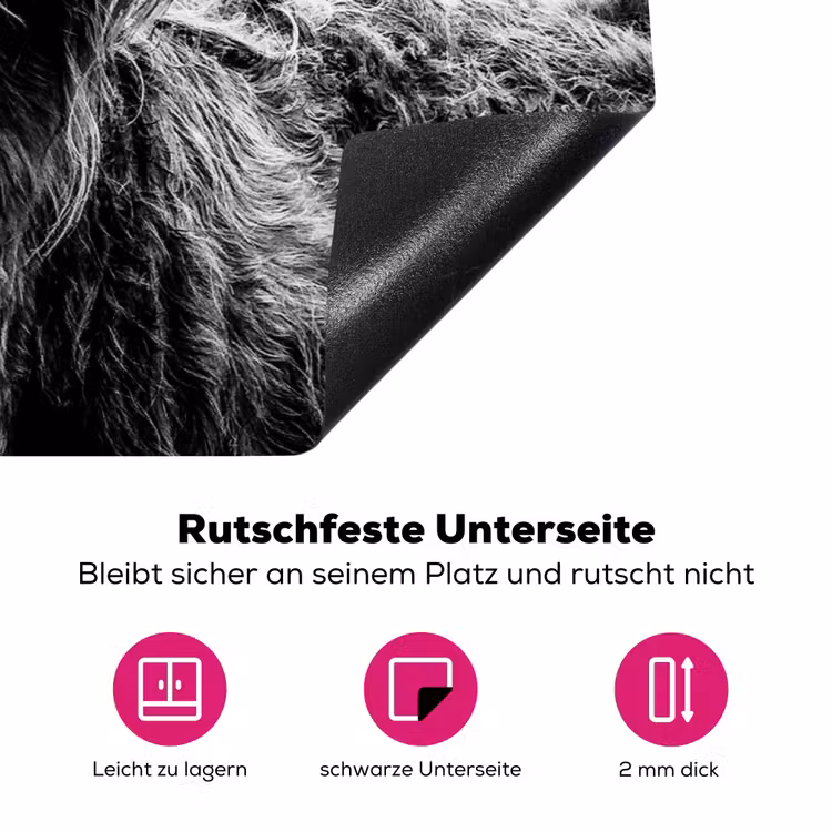 Schotse Hooglander - Koe - Zwart - Wit - Dieren Inductie beschermer vinyl 3mm klein -zzzzzzz-lf-onderkant