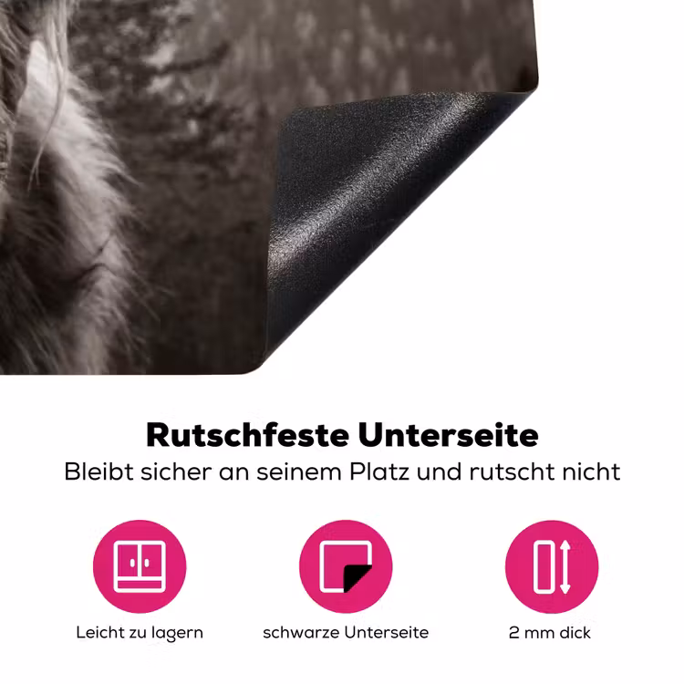 Schotse hooglander - Koe - Dieren - Zwart - Wit Inductie beschermer vinyl 3mm klein -zzzzzzz-lf-onderkant