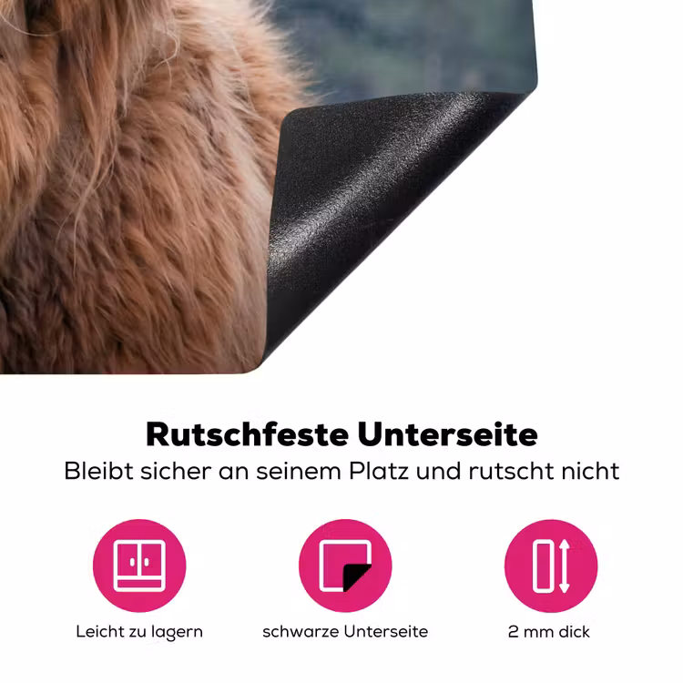 Schotse Hooglander - Koeienkop - Landschap - Natuur - Koe Inductie beschermer vinyl 3mm klein -zzzzzzz-lf-onderkant