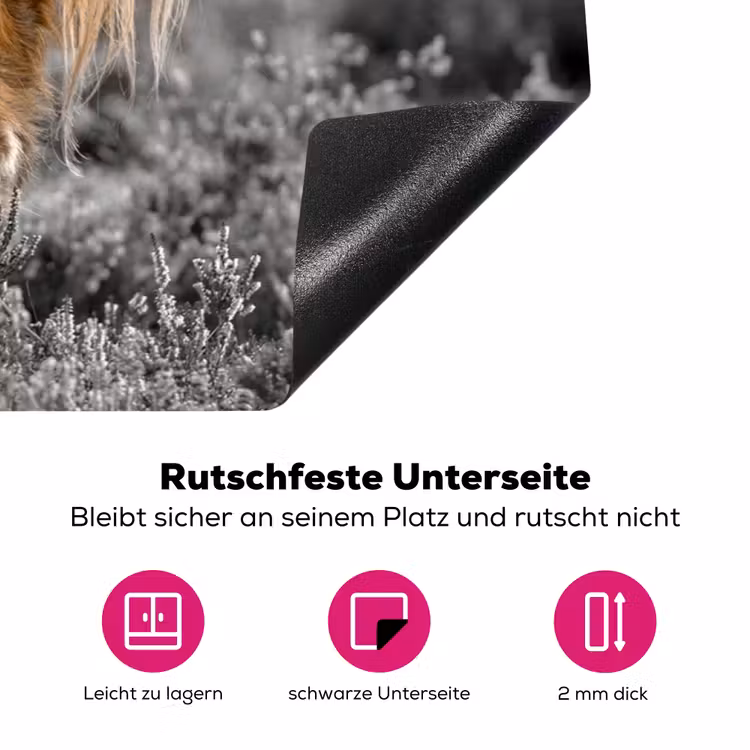 Schotse Hooglander - Dieren - Bruin - Koe - Zwart - Wit - Natuur Inductie beschermer vinyl 3mm klein -zzzzzzz-lf-onderkant