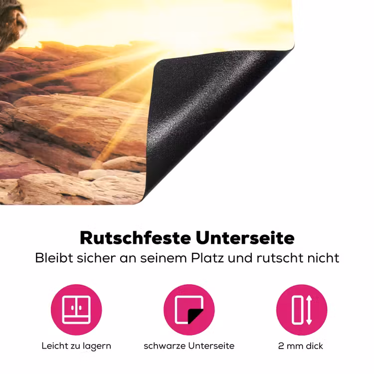 Schotse hooglander - Zon - Horizon - Koe - Dieren Inductie beschermer vinyl 3mm klein -zzzzzzz-lf-onderkant