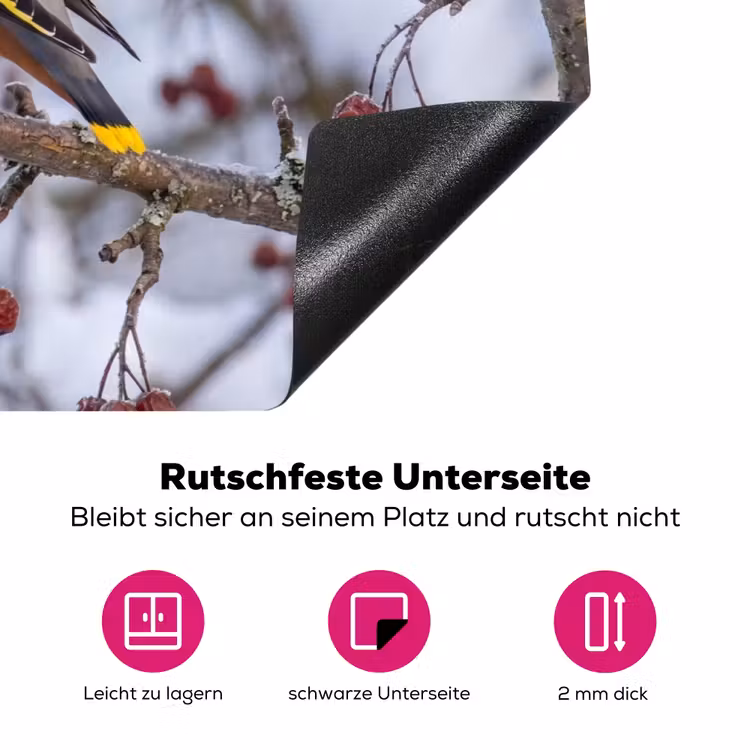 Pestvogel - Bessen - Winter - Natuur Inductie beschermer vinyl 3mm klein -zzzzzzz-lf-onderkant