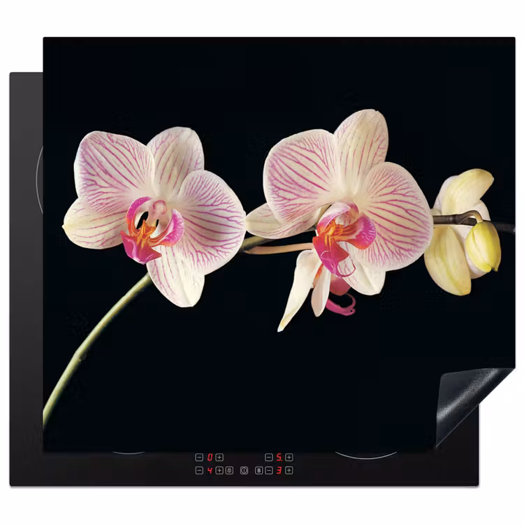 Getekende Schoonheid van Orchideeën Inductie beschermer vinyl 3mm middel -3d