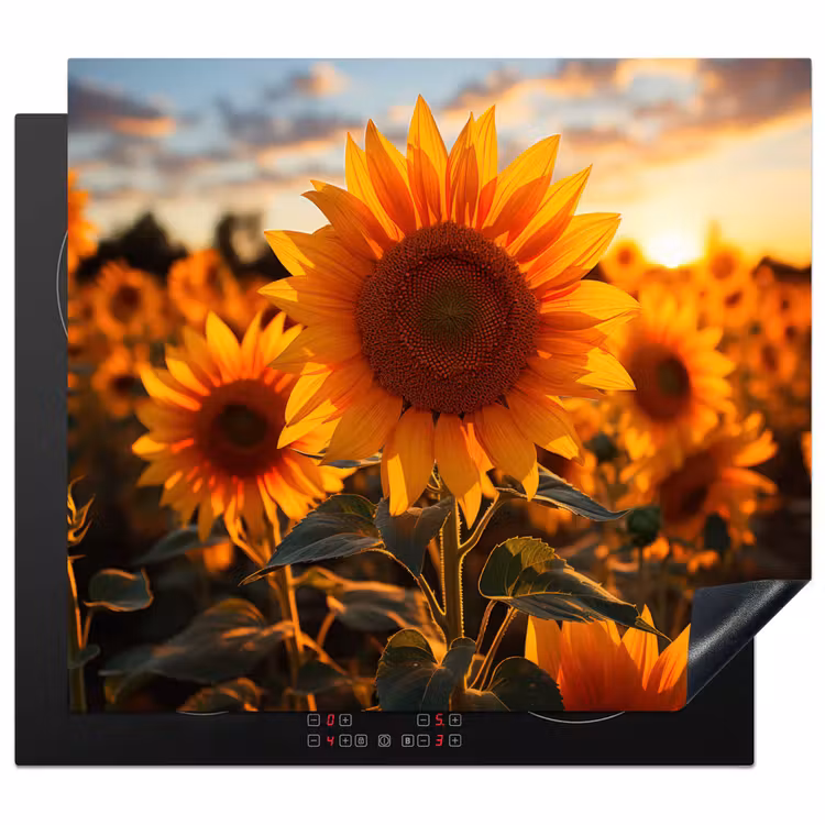 Zonnebloem - Zonsondergang - Bloemen - Natuur - Geel Inductie beschermer vinyl 3mm middel -3d