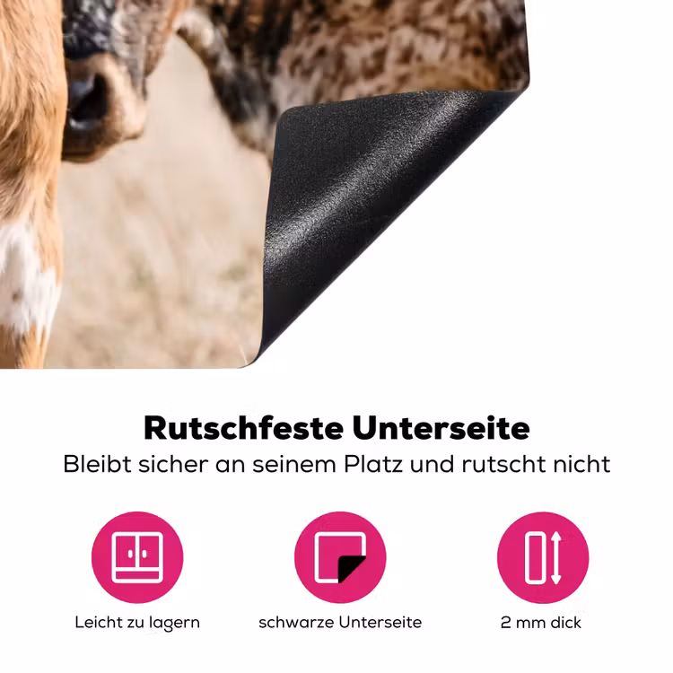 Texas Longhorn - Kalf - Weide - Dieren Inductie beschermer vinyl 3mm klein -zzzzzzz-lf-onderkant