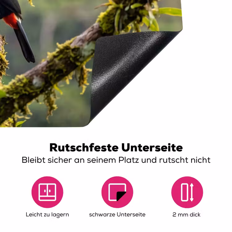 Toekan - Jungle - Natuur - Kleurrijk Inductie beschermer vinyl 3mm klein -zzzzzzz-lf-onderkant