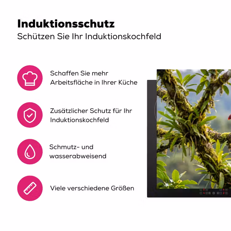 Toekan - Jungle - Natuur - Kleurrijk Inductie beschermer vinyl 3mm klein -zzzzzzz-lf-ups