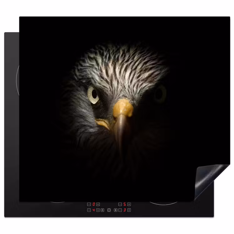 Vogel - Adelaar - Roofvogels - Oog - Snavel - Licht Inductie beschermer vinyl 3mm middel -3d