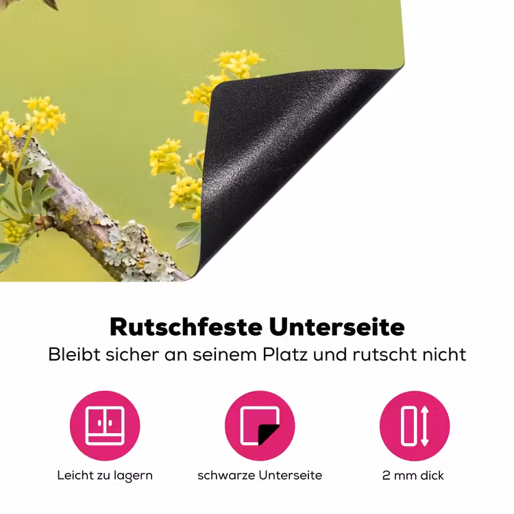 Vogel - Tak - Natuur - Kleurrijk Inductie beschermer vinyl 3mm klein -zzzzzzz-lf-onderkant