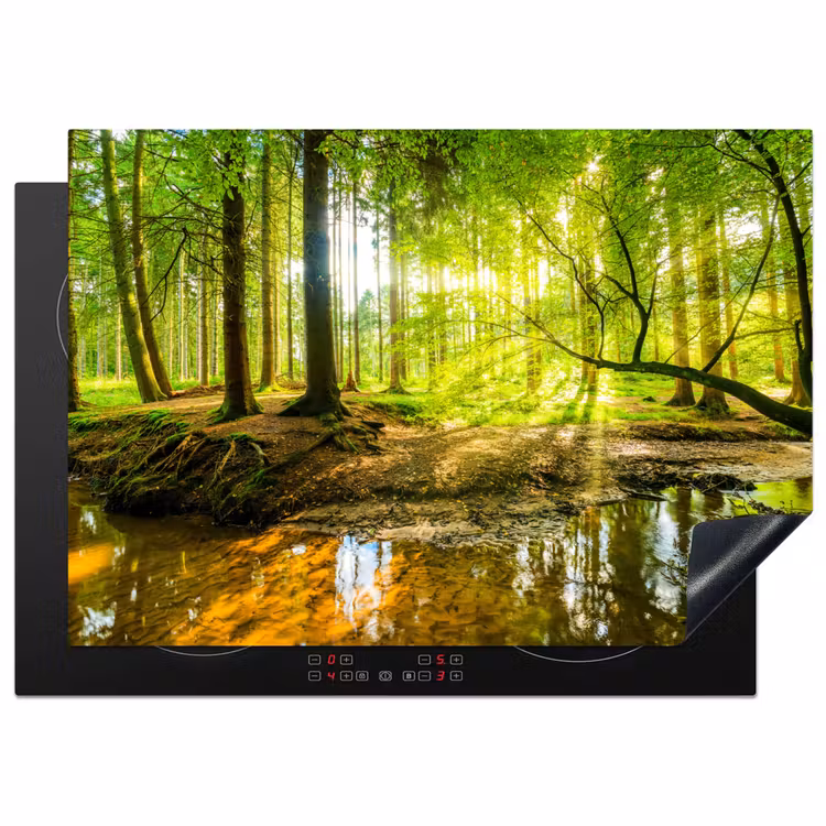Bos - Landschap - Water - Bomen - Zon - Groen - Natuur Inductie beschermer vinyl 3mm middel -3d