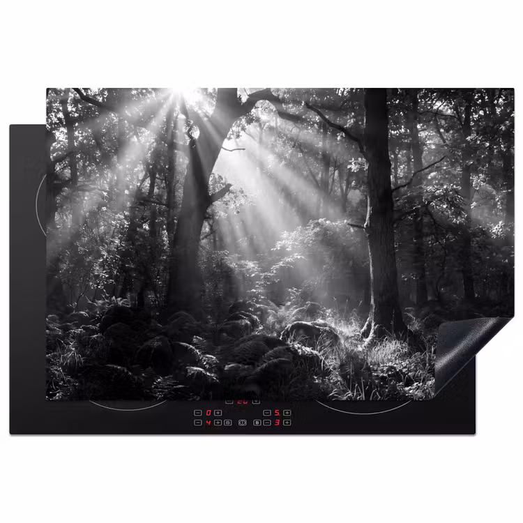 Bos - Lichtstralen - Natuur - Zwart-wit Inductie beschermer vinyl 3mm klein -3d