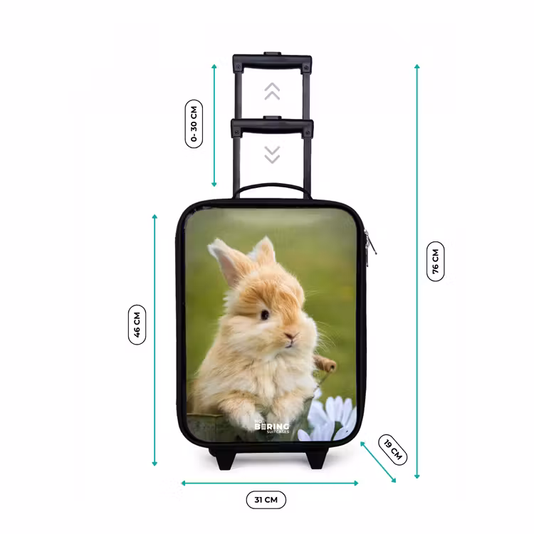 Konijn in bloempot Kinderkoffer - Zwart klein -productfoto_formaten