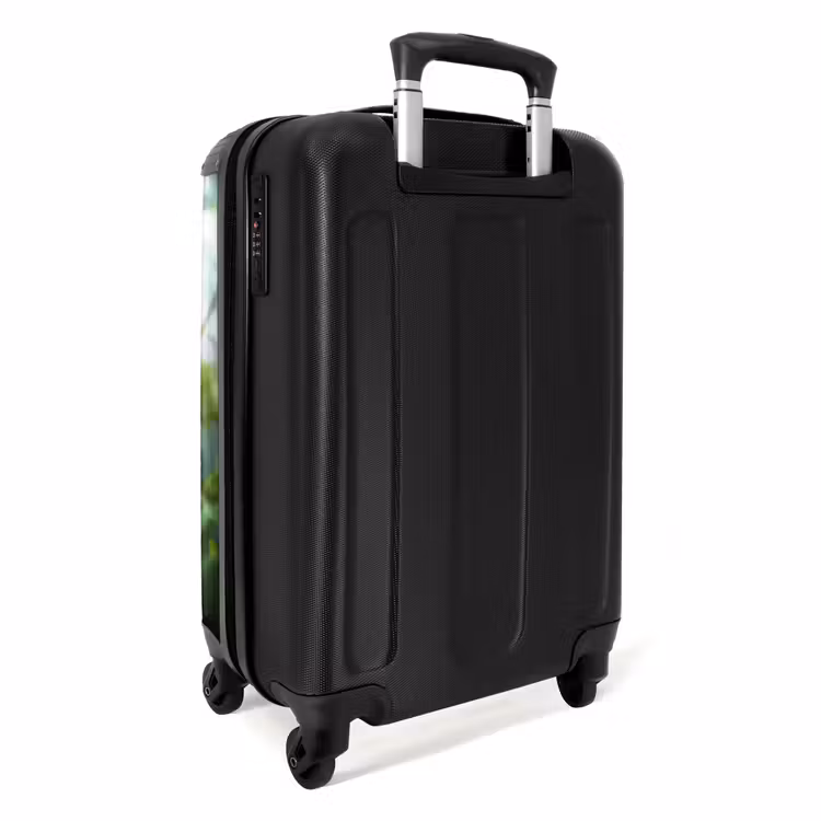 Alex aapje NBS - Handbagage koffer - Unisex middel -achterkant