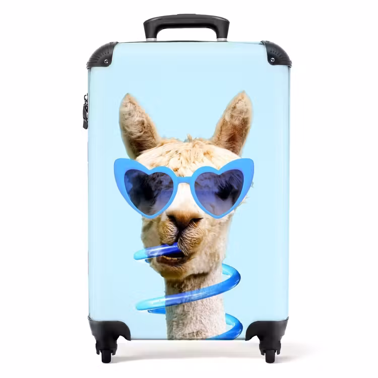 Allard Alpaca NBS - Handbagage koffer - Unisex middel -productfoto_recht