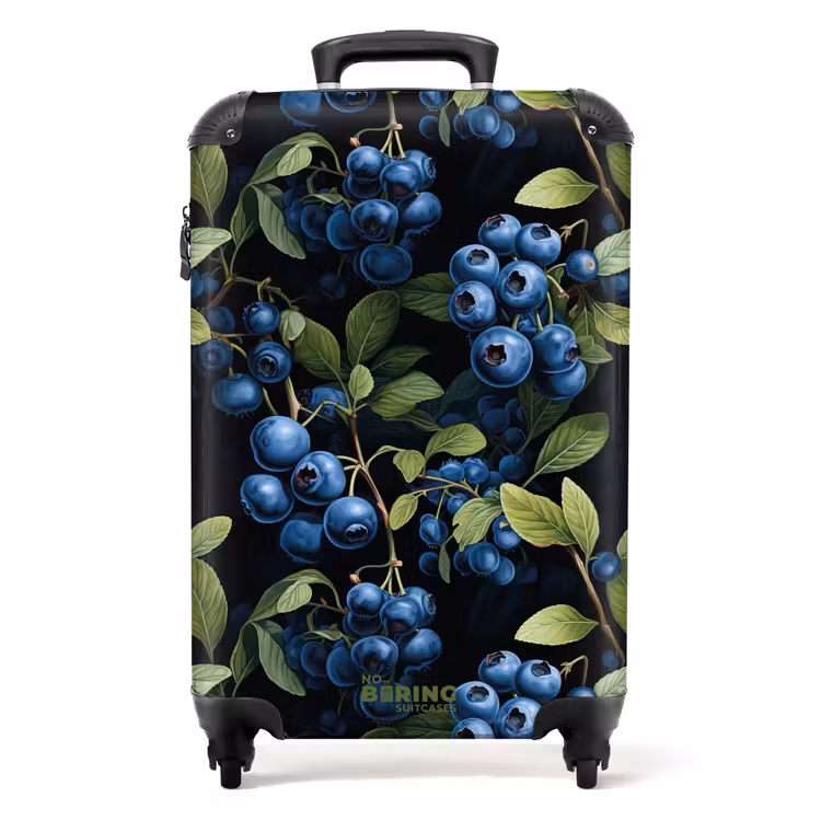 19 NBS - Handbagage koffer - Unisex middel -productfoto_recht