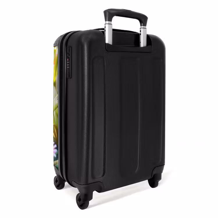 bijou-bij NBS - Handbagage koffer - Unisex middel -achterkant