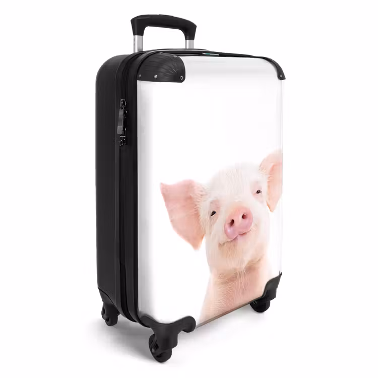 Binky Big NBS - Handbagage koffer - Unisex middel -productfoto_3d