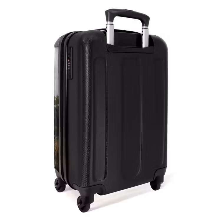 Koffer - Enten – Fluss – Landschaft – Flug – Nostalgisch - Eenden - Rivier - Landschap - Vlucht - Nostalgisch NBS - Handbagage koffer - Volwassenen Unisex middel