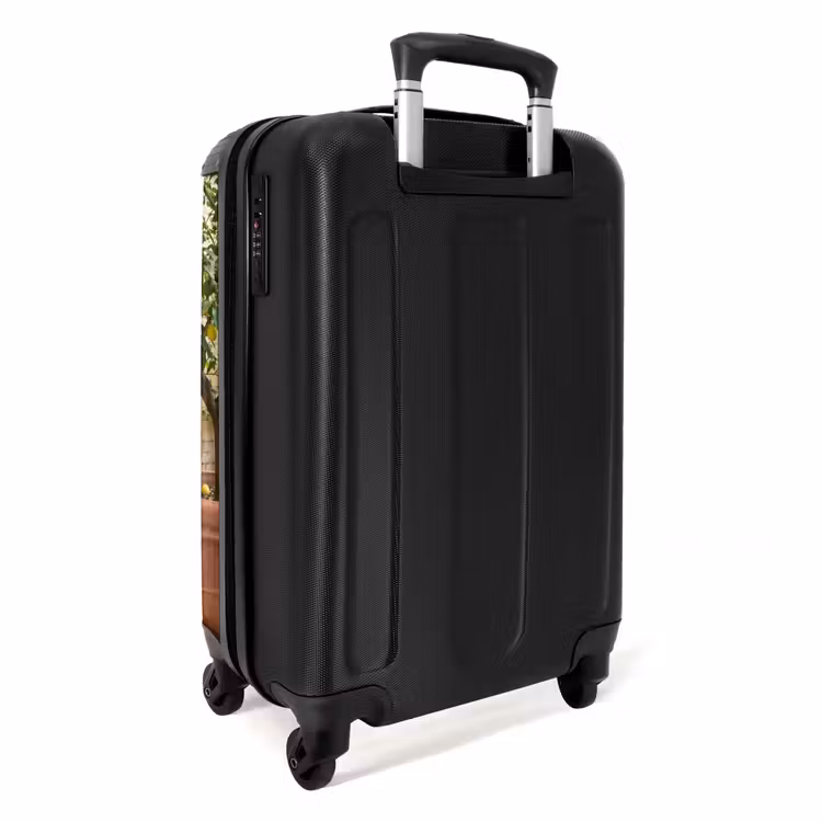 Koffer - Fahrrad – Korb – Essen – Gelb – Sommer - Fiets - Mand - Eten - Geel - Zomer NBS - Handbagage koffer - Vrouwen middel