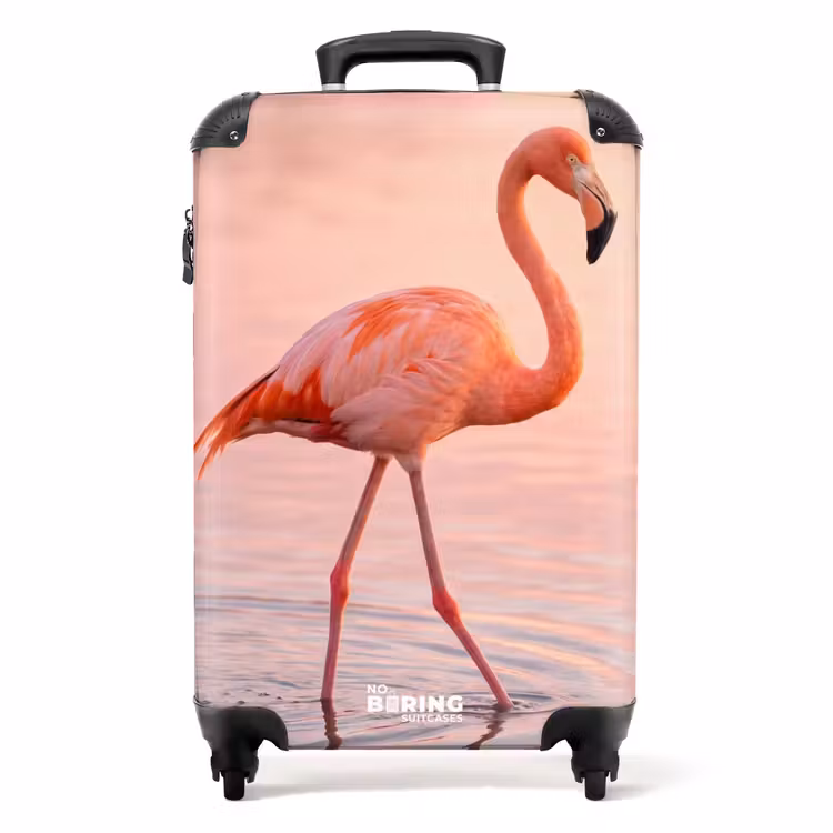 Koffer - Flamingo – Wasser – Rosa - Flamingo - Water - Roze NBS - Handbagage koffer - Volwassenen Unisex middel