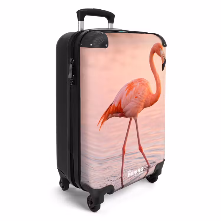 Koffer - Flamingo – Wasser – Rosa - Flamingo - Water - Roze NBS - Handbagage koffer - Volwassenen Unisex middel
