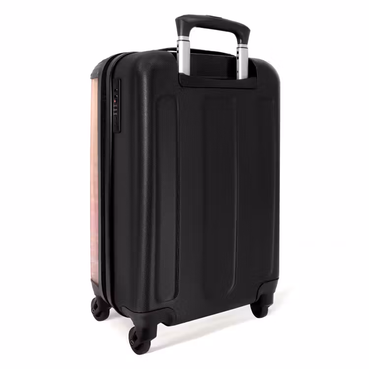 Koffer - Flamingo – Wasser – Rosa - Flamingo - Water - Roze NBS - Handbagage koffer - Volwassenen Unisex middel