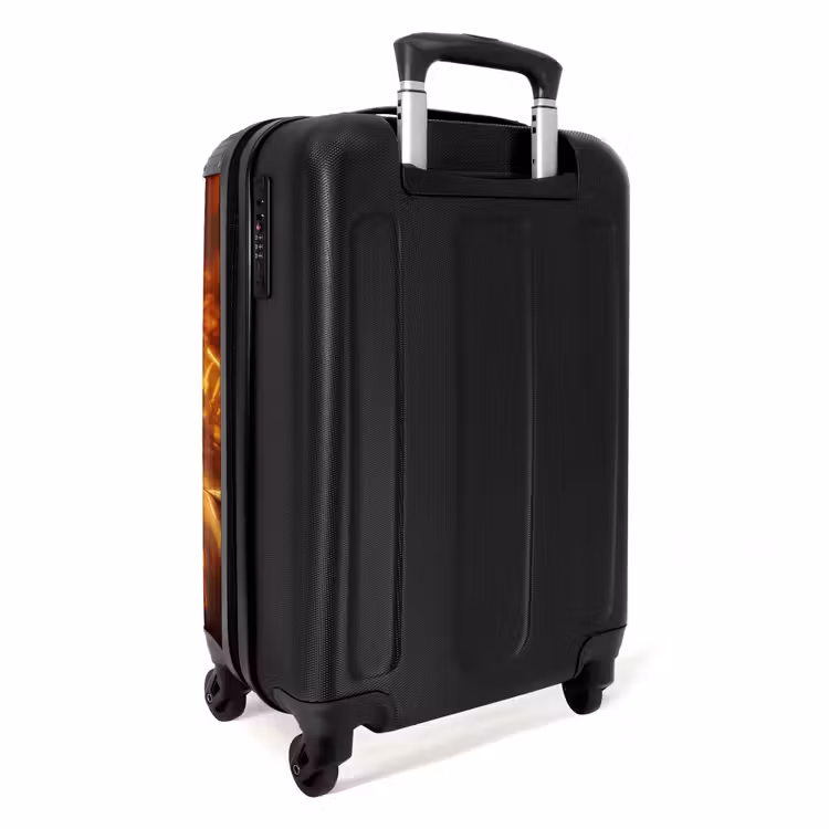 Goldrush NBS - Handbagage koffer - Unisex middel -achterkant
