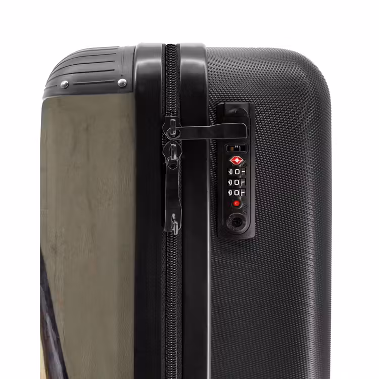 Klassiek - Humor - Kleurrijk NBS - Handbagage koffer - Volwassenen Unisex middel -slot