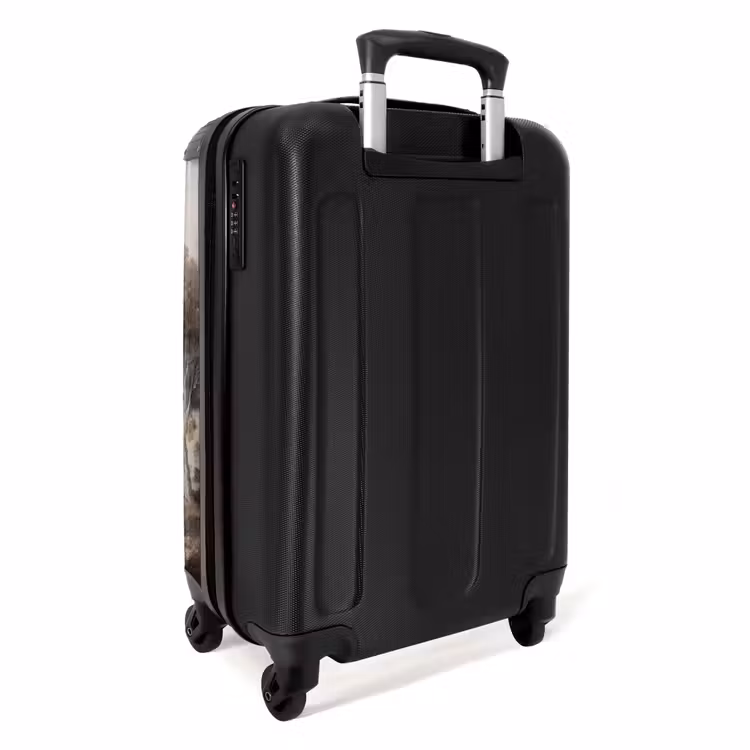 Klassiek - Landschap - Neutraal NBS - Handbagage koffer - Volwassenen Unisex middel -achterkant