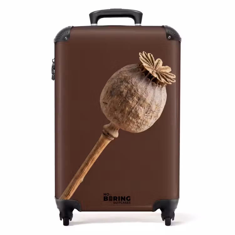Koffer - Mohnblume – Trockenblume – Braun – Minimalistisch - Papaverbol - Droogbloem - Bruin - Minimalistisch NBS - Handbagage koffer - Volwassenen Unisex middel