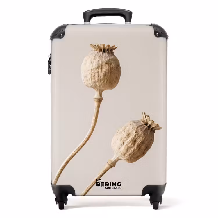 Koffer - Mohnzwiebeln – Trockenblumen – Minimalistisch – Beige – Ruhig — 1