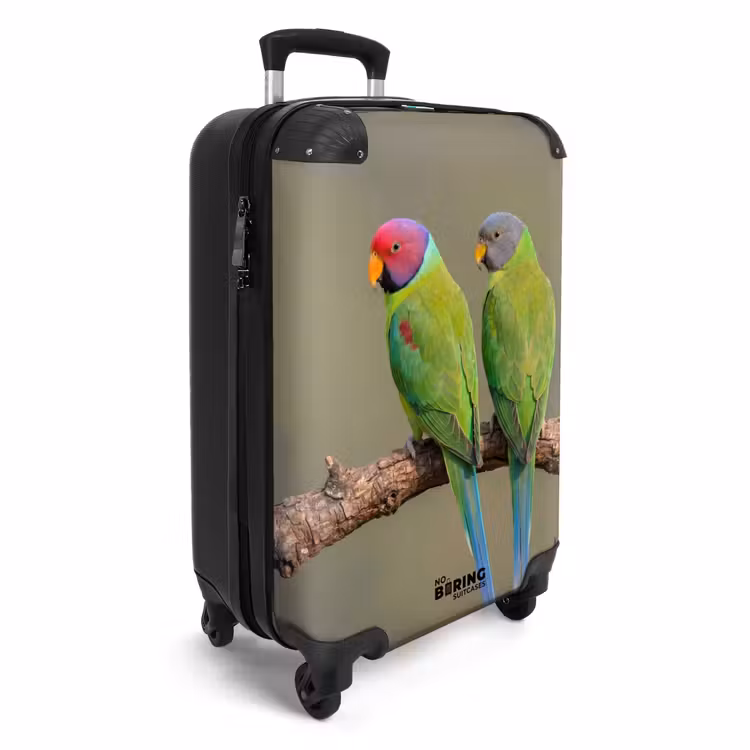 Koffer - Papagei – Ast – Natur – Bunt - Papagaai - Tak - Natuur - Kleurrijk NBS - Handbagage koffer - Volwassenen Unisex middel