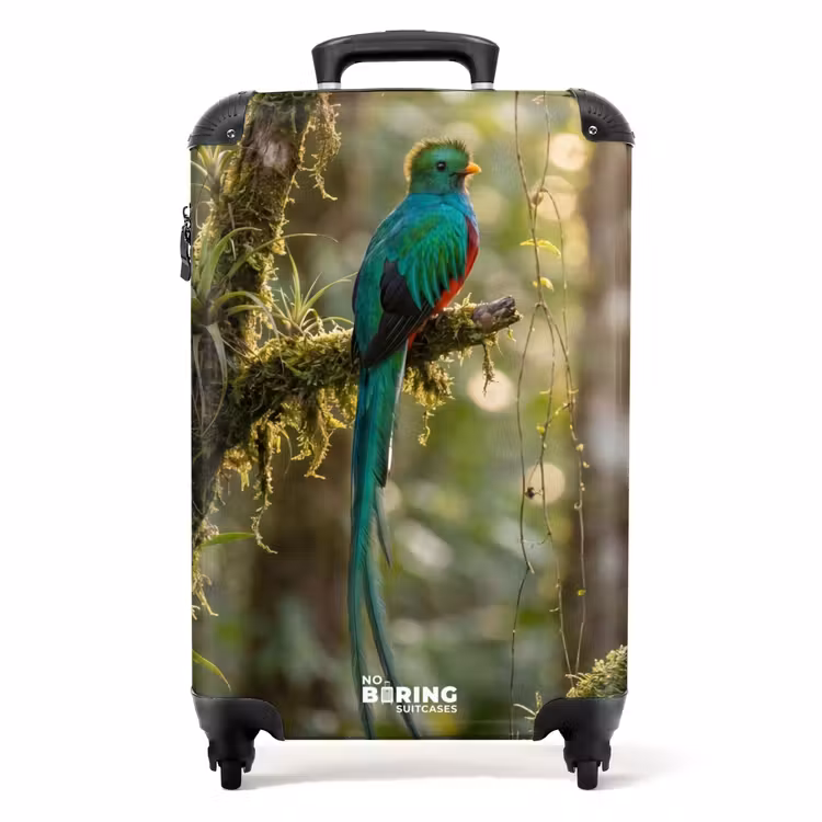 Koffer - Quetzal – Dschungel – Natur – Grün - Quetzal - Jungle - Natuur - Groen NBS - Handbagage koffer - Volwassenen Unisex middel