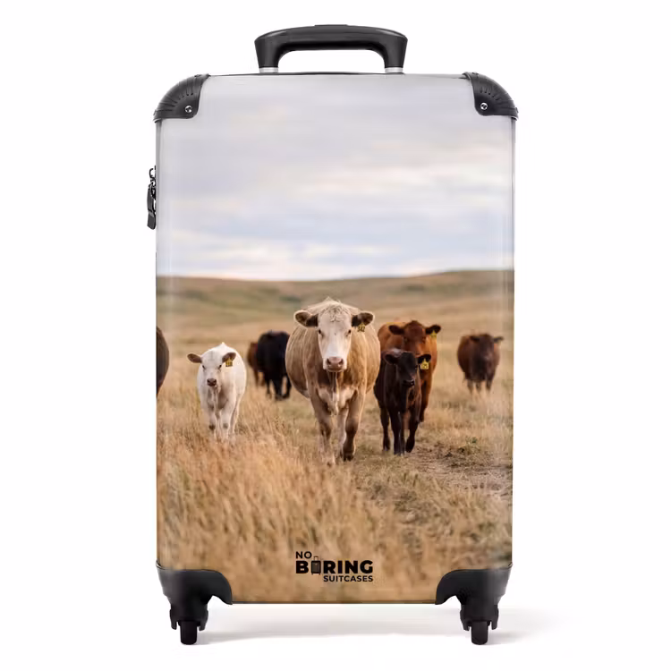 Koffer - Rinder – Herde – Landschaft – Weide – Ruhig - Runderen - Kudde - Landschap - Weide - Rustig NBS - Handbagage koffer - Volwassenen Unisex middel