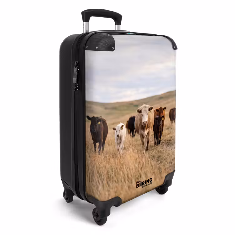 Koffer - Rinder – Herde – Landschaft – Weide – Ruhig - Runderen - Kudde - Landschap - Weide - Rustig NBS - Handbagage koffer - Volwassenen Unisex middel