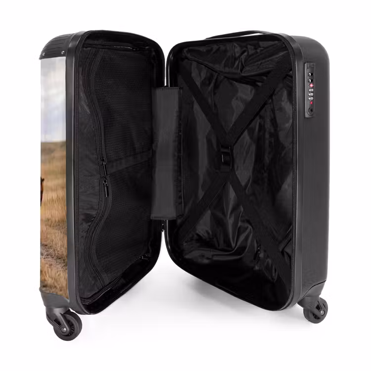 Koffer - Rinder – Herde – Landschaft – Weide – Ruhig - Runderen - Kudde - Landschap - Weide - Rustig NBS - Handbagage koffer - Volwassenen Unisex middel