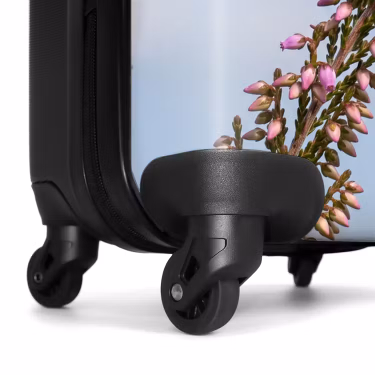 Koffer - Rotkehl-Steinschmätzer – Heide – Lila – Natur – Stimmungsvoll — 6